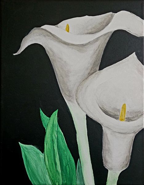 Calla Lillies 11x14 Acrylic on Canvas