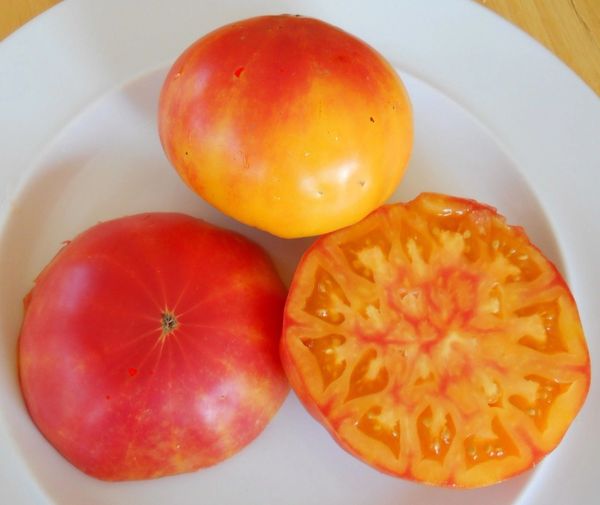 Bush Beefsteak - Organic Heirloom Tomato Seeds