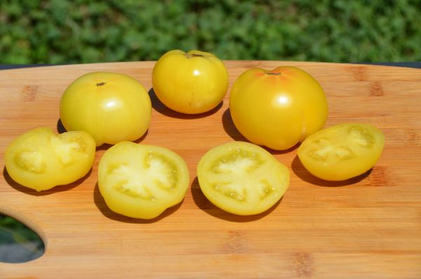 Blanche de Prusse (Prussian White) Organic Tomato Seeds