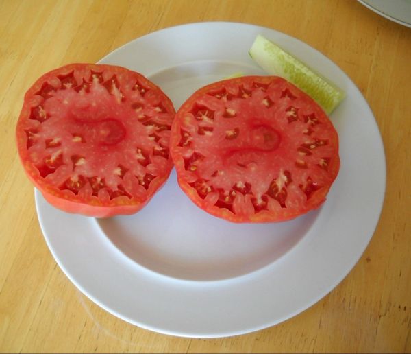 Red Beefsteak, Tomato Seeds