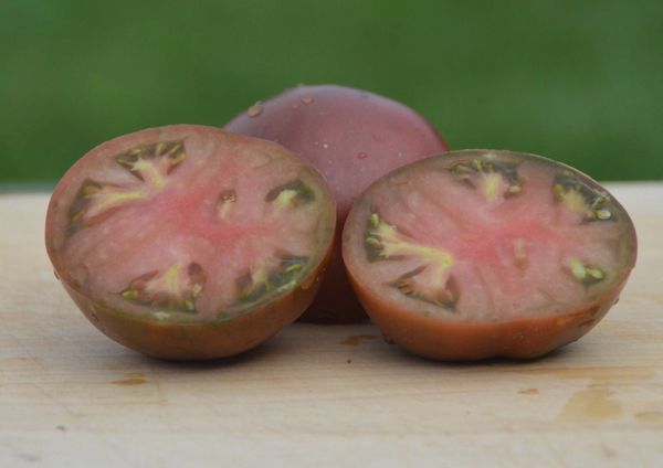 Black Brandywine Tomato