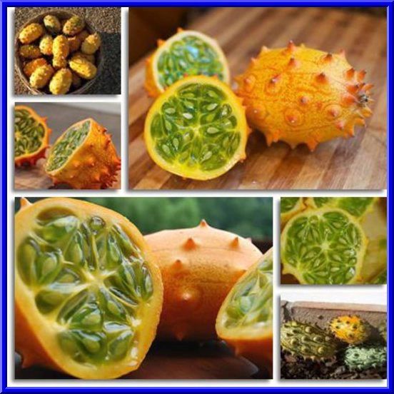 Kiwano Horned Melon Seeds Sweet & Delicious