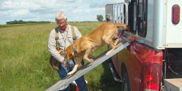 trained dog exiting truck