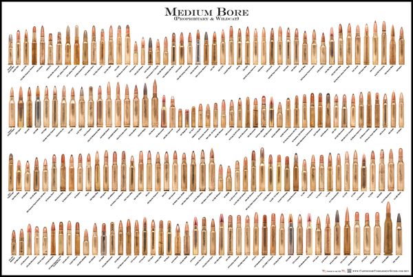 Medium Bore (Proprietary & Wildcat) - Cartridge Poster | Firing Solutions