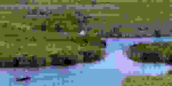 Danube delta covered with reed (Ukraine)