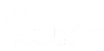 DoubleWing Photography