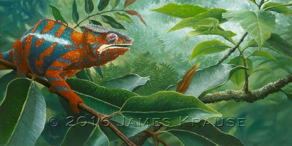 "Blending In" Panther Chameleon 12" x 24" Canvas Giclee