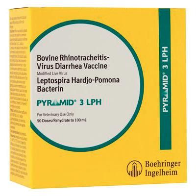 Pyramid 3 LPH 100 ml (50 Doses) , BOEHRINGER INGELHEIM 139934