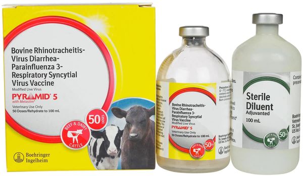 Pyramid 5 Vaccine, Modified Live Virus, 100mL , Boehringer Ingelheim 139930