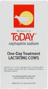 ToDay for Lactating Cows, One-Day Treatment, 10mL , 12/Pack , Boehringer Ingelheim 139949