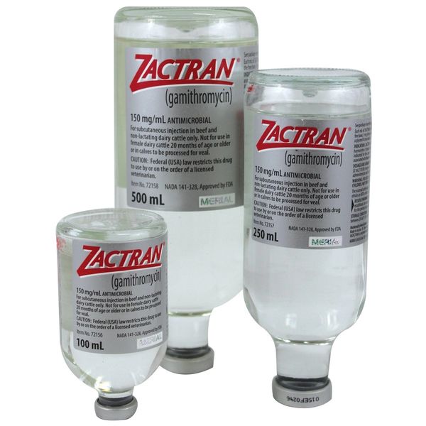 Zactran (Gamithromycin) Antimicrobial Injection for Cattle, 500mL , Boehringer Ingelheim 126656