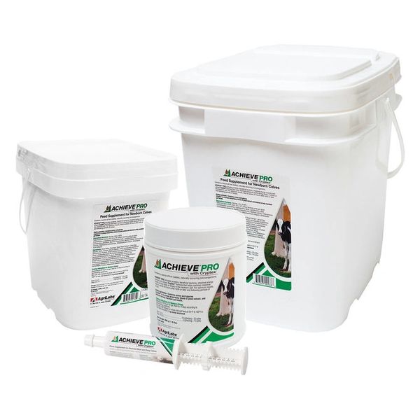 Achieve Pro with Cryptex Feed Supplement for Newborn Calves, Powdered, 4000gm , AgriLabs 132