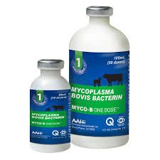 Myco-B One Dose Mycoplasma Bovis Bacterin Cattle Vaccine, 100mL , Agrilabs 647