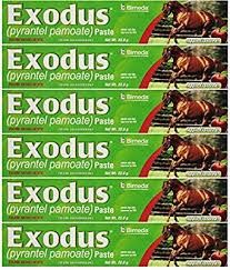 Exodus Paste (Pyrantel Pamoate) Apple Flavor 23.6gm , 36/Case , Bimeda 38712