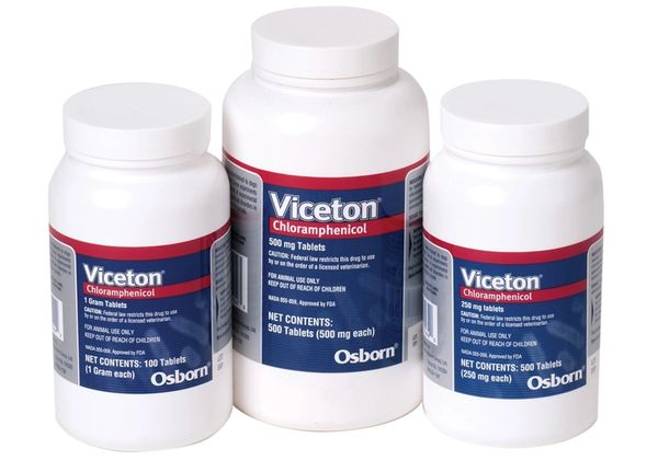 Viceton (Chloramphenicol) Tablets for Oral Use in Dogs 250mg, 500 Count , Bimeda 1VIC004