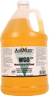 WGO Wheat Germ Oil Blend, 1 Gallon , Animed 90671