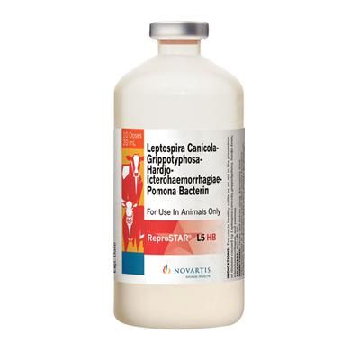 Reprostar L5HB 20 ml (10 Doses) , ELANCO AV628010DAM