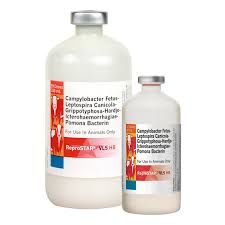 Reprostar VL5 HB 100 ml (50 Dose) , ELANCO AV628550DAM