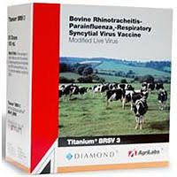 Titanium BRSV 3 Vaccine, Modified Live Virus, 100mL , Elanco AV415584TAM