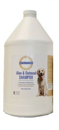 Aloe and Oatmeal Shampoo, Pina Colada Scent, 1 Gallon , Stratford SP1051