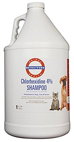 Chlorhexidine 4% Shampoo, 1 Gallon , Stratford SP1023