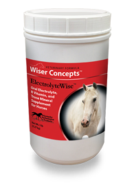 Wiser Concepts ElectrolyteWise Supplement for Horses, 20lb , Kentucky Performance 137304