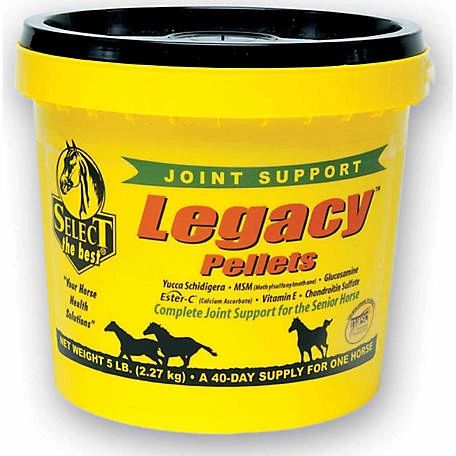 Select the Best Legacy Pellets, Complete Joint Support for the Senior Horse, 5lb , Richdel 784299540507