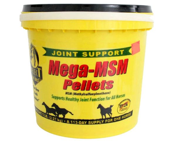 Select the Best Mega-MSM Pellets, Supports Healthy Joint Function for All Horses, 5lb , Richdel 784299660502