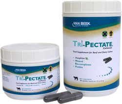 Tri-Pectate Capsules Feed Supplement for Beef and Dairy Cattle, 100 Count , Van Beek Natural Science 542008