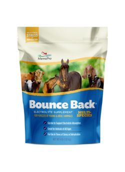 Bounce Back Multi-Species Electrolyte Supplement, 4oz , 24/Case , Manna 1000352