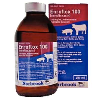 Enroflox 100 250 ml , NORBROOK 606841067002