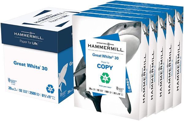 Hammermill Printer Paper, Great White 30% Recycled Paper, 8.5 x 11 - 5 Ream (2,500 Sheets) - 92 Bright , Office-5