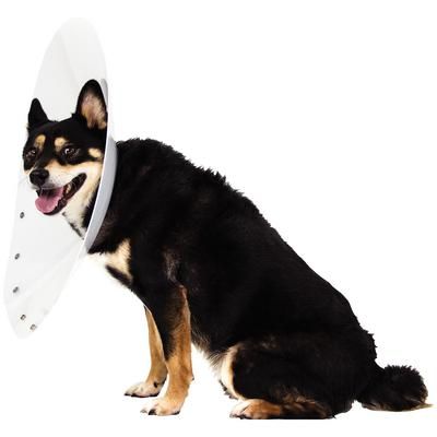 Snap Guard Elizabethan Collar 36 cm , each , Patterson 21281325