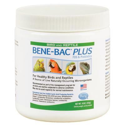 BENE-BAC Plus Bird/Reptile Powder 10 oz, 1/Pkg , PET-AG 99563-1