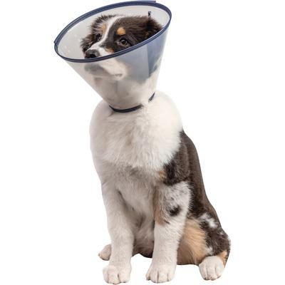 Clear Guard Elizabethan Collar 12 cm , PIVETAL 21294647