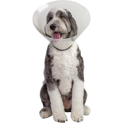 Click Plus Elizabethan Collar 25 cm , PIVETAL 21294659