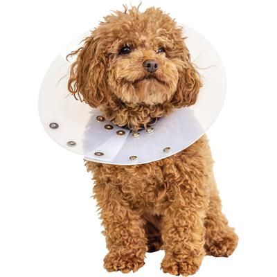 Snap Guard Elizabethan Collar 12 cm , PIVETAL 21294677