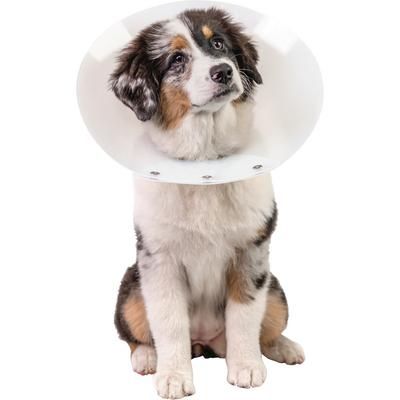 Snap Guard Elizabethan Collar 18 cm , PIVETAL 21294679