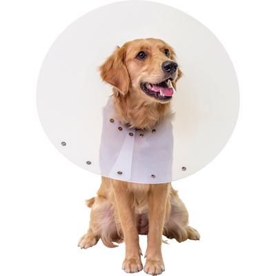 Snap Guard Elizabethan Collar 30 cm , PIVETAL 21294691