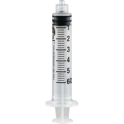 Syringes, Rigid Pack 6 cc, Luer Lock, 50/Pkg , PIVETAL 21295192