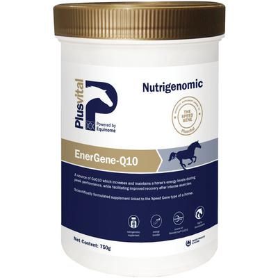 Plusvital EnerGene-Q10 750 g, PLUSVITAL PV501-0.75
