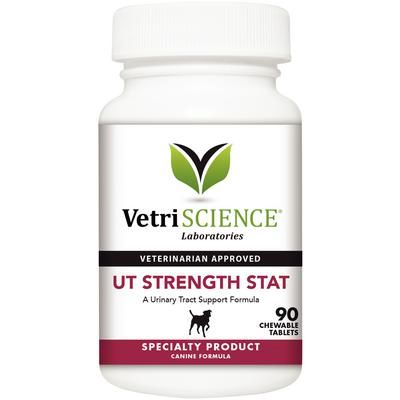 UT Strength STAT Chewable Tablets Canine 90/Bottle , VETRI 0900505.090