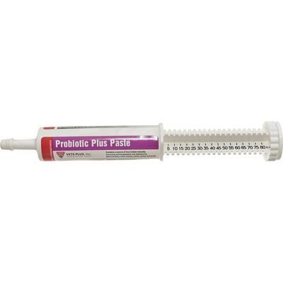 Probiotic Plus Paste 80 ml , VETS PLUS 40-600