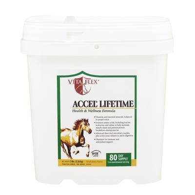 Accel Lifetime Formula 5 lb , VITA FLEX 100528459