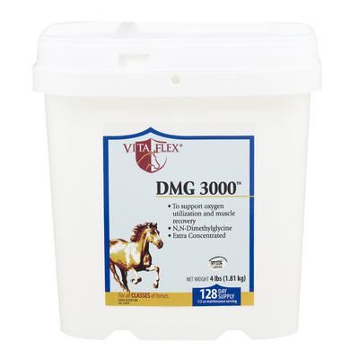 DMG 3000 Equine Formula 4 lb ,VITA FLEX 3000036