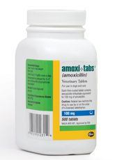 Amoxi-Tabs Amoxicillin Tablets 150 mg , 500/Bottle , ZOETIS 10000480