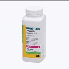 Amoxi-Tabs Amoxicillin Tablets 200 mg , 500/Bottle , ZOETIS 10000479