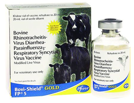 Bovi-Shield Gold FP 5 10 Doses , ZOETIS 10009905