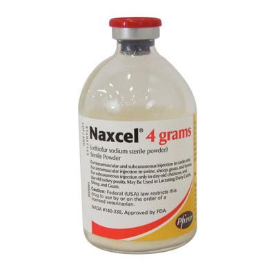 Naxcel Ceftiofur Sodium Injection 80 ml , ZOETIS 10000814