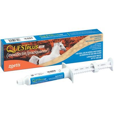 Quest Plus Equine Oral Gel 14 g Syringe, ZOETIS 10016989